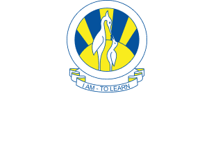 The City School International The City School International